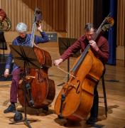 Chameleon Arts orchestra double bass